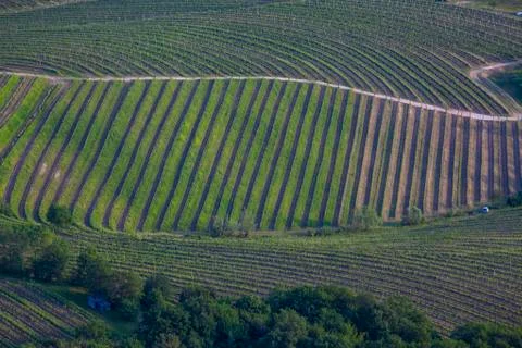 Abstract Composition Fields From Above6 Stock Photos