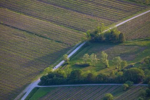 Abstract Composition Fields From Above7 Stock Photos