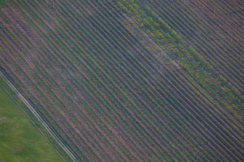 Abstract Composition Fields From Above8 Stock Photos