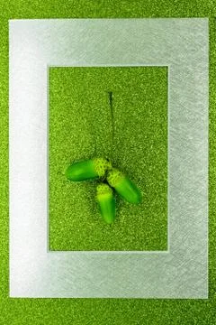 Abstract composition of green and young oak acorns Foto stock