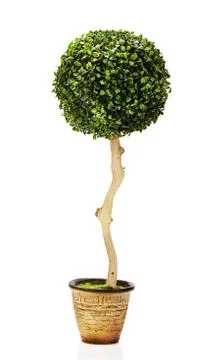 Abstract composition from green artificial grass arrangement cen Stock Photos