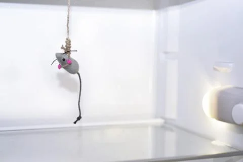 Abstract composition of hunger. Stock Photos