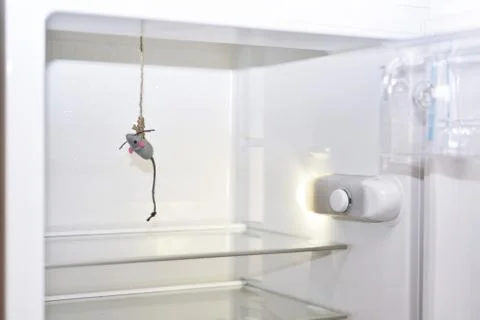 Abstract composition of hunger. Stock Photos