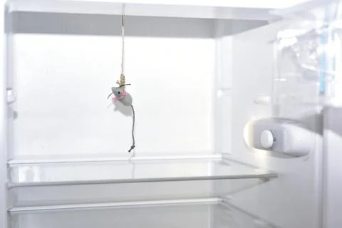 Abstract composition of hunger. Stock Photos