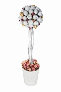 Abstract composition from nuts and dry roses arrangement centerp Stock Photos