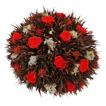 Abstract composition from red dry roses Stock Photos