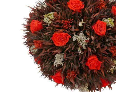 Abstract composition from red dry roses Stock Photos