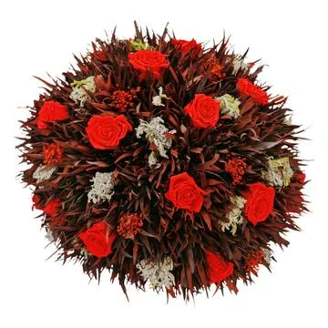 Abstract composition from red dry roses. Closeup. Stock Photos