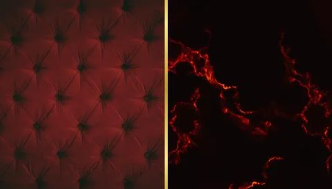 Abstract composition of red smoke in the dark Stock-Illustration