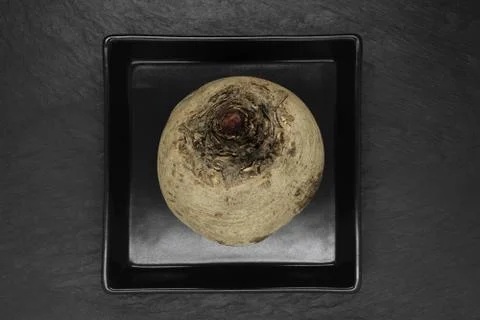 Abstract composition of round whole beetroot placed on black plate and black Stock Photos