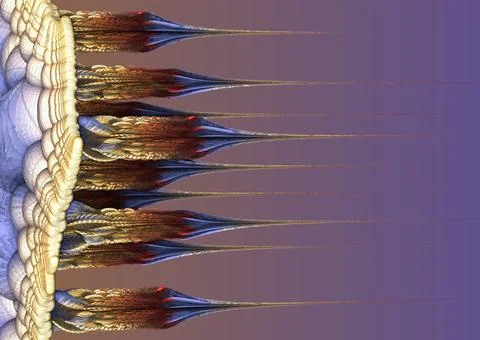 Abstract Computer generated Fractal design. 3D Illustration of a Beautiful in Stock Illustration