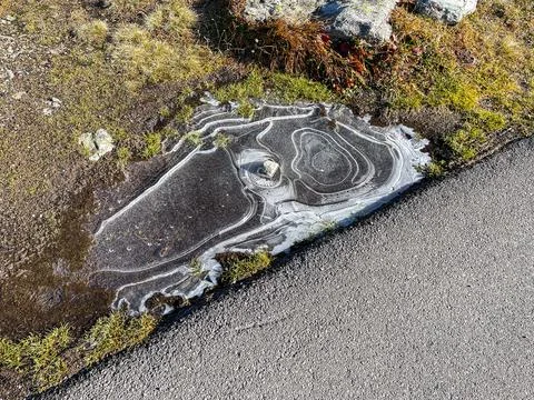 Abstract Concentric Ice Patterns in a Frozen Roadside Puddle 库存照片