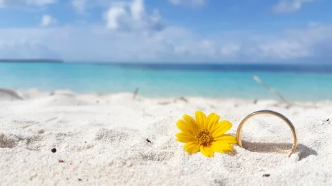 Abstract concept, wedding ring in white sand of tropical beach in the Stock Footage 118437464