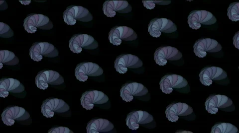 Abstract conch shell pattern background,biology fractals geometric backdrop. Stock Footage 825943