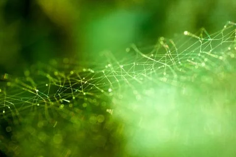 Abstract connected dots on green background - connection technology concept Stock Photos