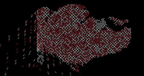 Abstract Connectivity Concept via Singapore Map Silhouette Stock Footage 327080489
