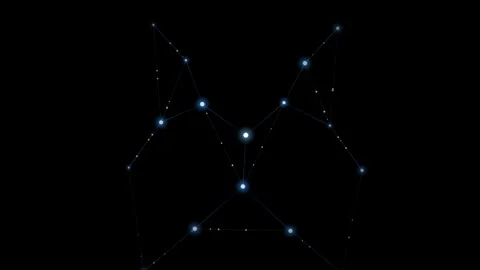Abstract constellation formation of bright star dots and thin lines on blac.. Stock Footage 345360306