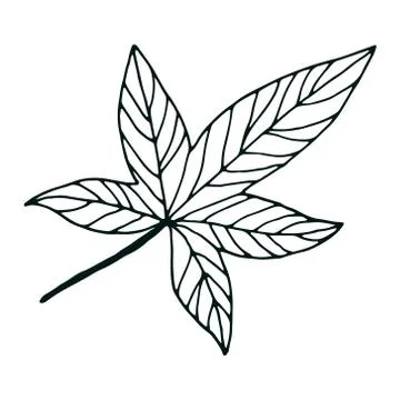 Abstract contour leaf isolated on white Stock Illustration