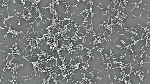 Abstract convert on a gray background Stock Footage 55168561