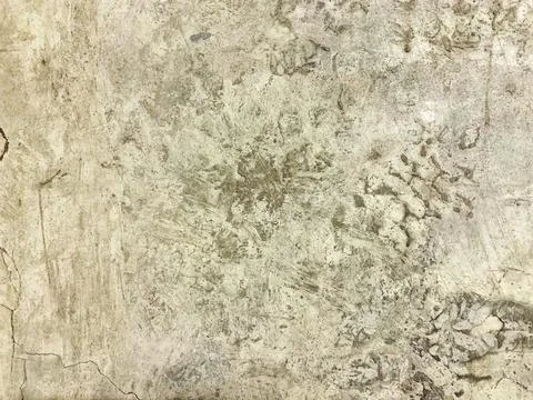 Abstract copy space seamless background texture cement floor with cracks. Stockfoto's