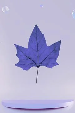 Abstract corner composition with geometric transparent glass figures podium and Stock Illustration