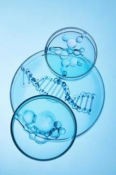 Abstract cosmetic lab. Visualizing dna helix and molecular structures in petri Stock Photos