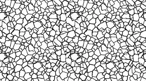 Abstract cracked pattern geometric organic shapes on white background seaml.. Stock Illustration