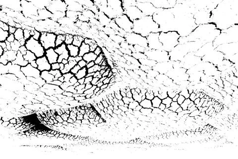 Abstract Cracked Texture Background Black and White High Contrast Grunge Stock Illustration