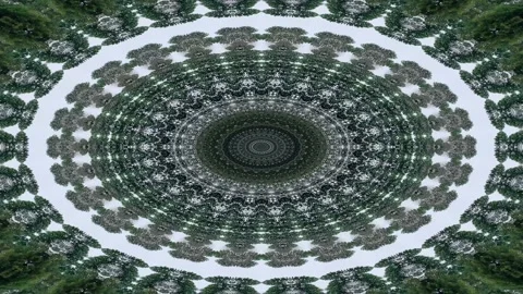 Abstract creative element from green tree nature make visual effect Stock Footage 221214901