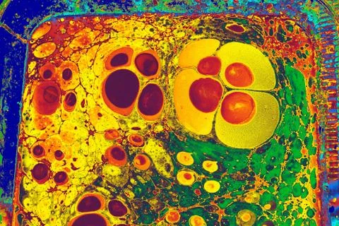 Abstract creative marble pattern texture. Traditional art of Ebru marbling Stock Photos