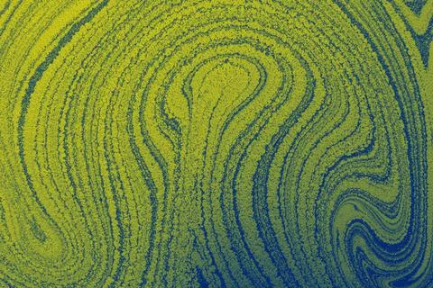 Abstract creative marbling pattern for background 스톡 일러스트