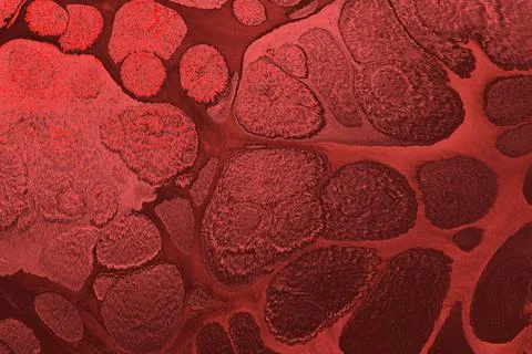 Abstract creative marbling pattern design in red color Stock Photos