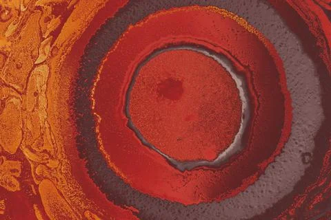 Abstract creative marbling pattern for fabric, design background texture Illustrazione stock