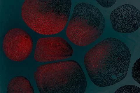 Abstract creative marbling pattern for fabric, design background texture Stock Illustration