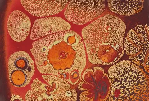 Abstract creative marbling pattern for fabric, design background texture 스톡 사진