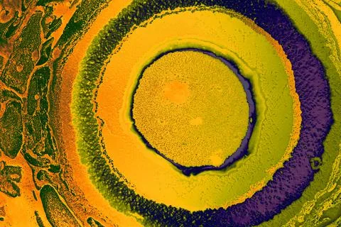 Abstract creative marbling pattern for fabric, design background texture Stock Photos