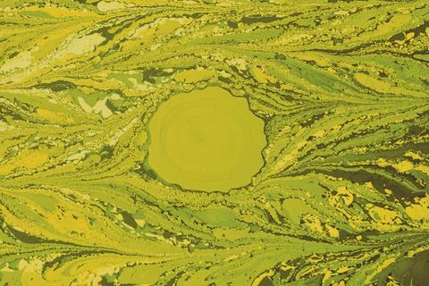 An abstract creative marbling pattern for fabric in green color, design backg Stock Photos