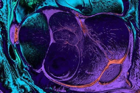 Abstract creative marbling pattern texture. Traditional art of Ebru marbling. 스톡 일러스트