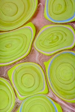 Abstract creative round marble pattern. Traditional art of Ebru marbling Stock Illustration