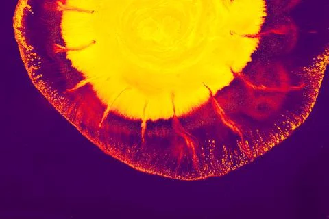 Abstract creative round marble pattern texture. Traditional art of Ebru marbl Stock Photos