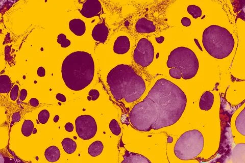 Abstract creative round marble pattern texture. Traditional art of Ebru marbl Stock Photos