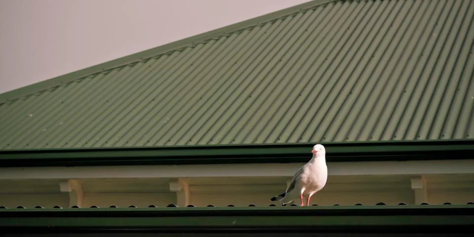 Abstract creative simple background Stock Photos