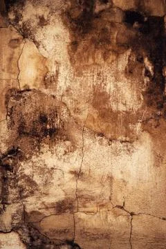 Abstract creepy surface of old plaster Stock Photos