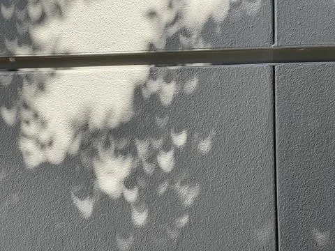 Abstract crescent shaped leaf patterns created by a partial solar eclipse Stock Photos