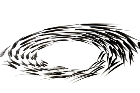 Abstract Crown of Thorns Stock Photos