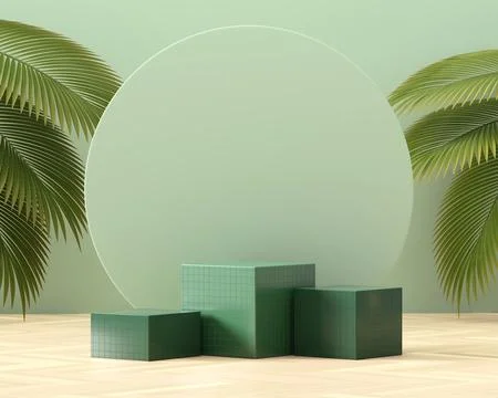 Abstract cubes platform podium showcase for product display with palm leave.. Stock Illustration