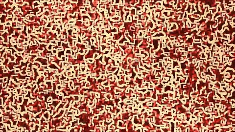 Abstract curly line background animation, animated wavy backdrop Stock Footage 304841572