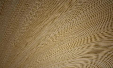 Abstract curve and  pattern look like  Wood grain use for background or wallp Stock Illustration
