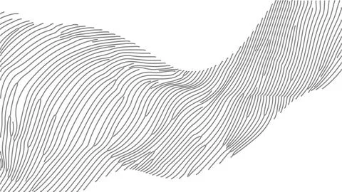 Abstract curved line pattern design. Gray flowing lines create topography effect Stock Illustration
