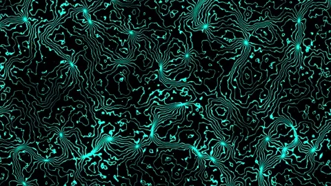 Abstract cyan topographic neuron web lines on black background seamless loop Stock Footage 341993406